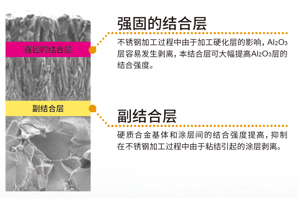 强固的复合结合层
