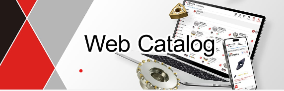 Catalogo web